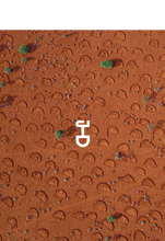 Lade das Bild in den Galerie-Viewer, Einen Baum pflanzen
