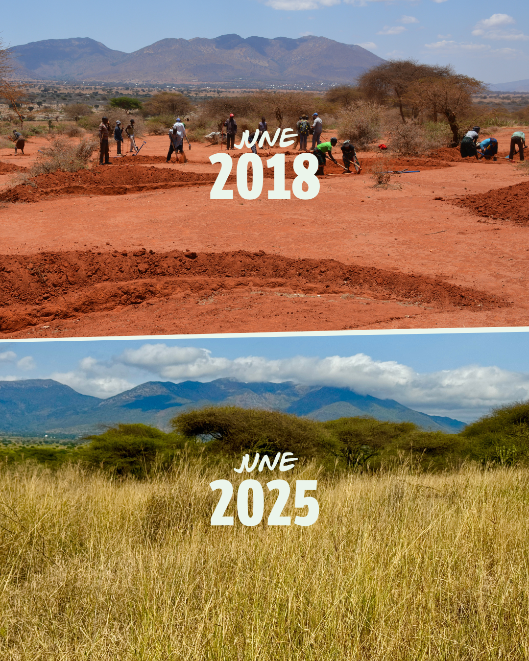 Noshirt maakt Black Friday groen